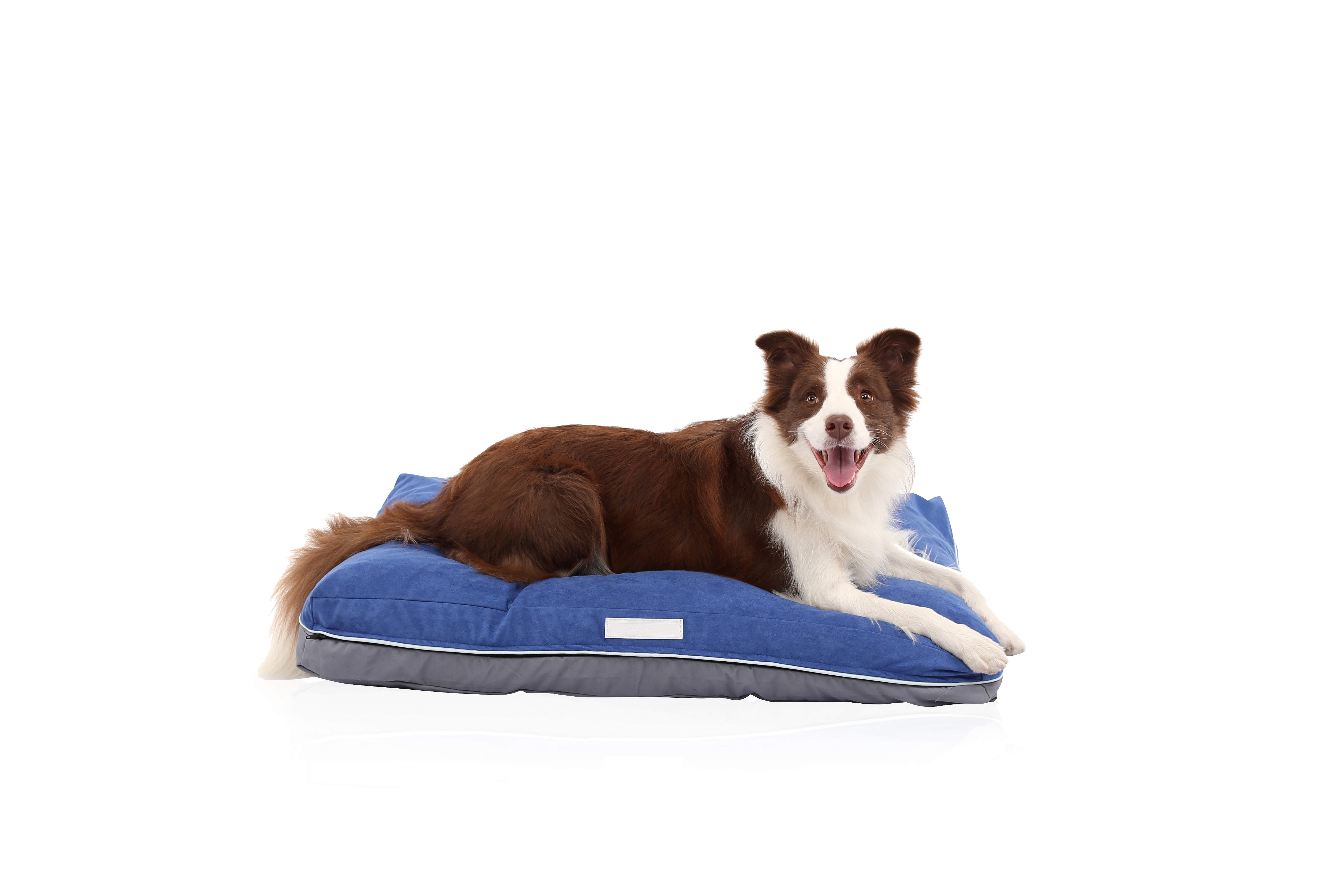 LaiFug Doublesided Comfortable Memory Foam Pet/Dog Bed(Medium36"x25"x5