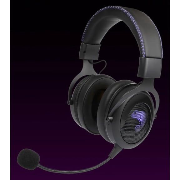 Brook Gaming US 2.4GHz Wireless Headset: Cross Platforms Gaming Headset