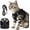 Black, variant on Cat Harness and Leash, 2026 New Escape Proof Cat Leash and Harness Set for Small Medium Large Cats, Breathable Adjustable Vest Harnesses with Reflective Strip for Walking Travel Camping (Orange, S)