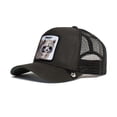 thumbnail image 4 of Gorra Goorin Bros Animal Farm MAPACHE 1010379BLK Negro, 4 of 4
