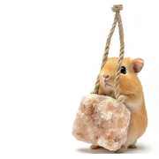 3 Count Himalayan Small Pets Salt Lick - Rabbit Toys Bunny Treats - Natural Small Animal Mineral Salt Chew Toys with Rope, Small Pet Chew Treat Supplies for Guinea Pig Rabbits Bunny Ferrets