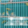 thumbnail image 3 of Shisuyan Bird Perch Platform Stand Parrot Platform Acrylic 1Pack Small Birds Owners, 3 of 9