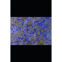 Sudoku: Sudoku (Paperback)