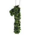 thumbnail image 1 of Modern Home 12" Real Preserved Boxwood Monogram Wreath Letters - 1, 1 of 2