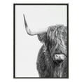 thumbnail image 2 of Kate and Laurel Sylvie B&W Highland Cow No. 1 Framed Canvas Wall Art by Amy Peterson Art Studio, 28x38 Gray, Black and White Animal Portrait Art, 2 of 6