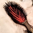 thumbnail image 2 of Mason Pearson Pocket Sensitive Pure Bristle 7" Oval Hair Brush, Black, 2 of 6