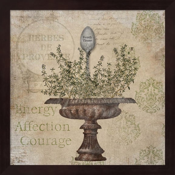 Metaverse Beth Albert 'French Thyme' Framed Art