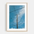 thumbnail image 2 of THE GANG'S ALL HERE - Albuquerque New Mexico Photography Bird Minimalist Nature Skyline Street Photography Rustic Vintage Unframed Wall Art Print 12 x 18 inches, 2 of 60