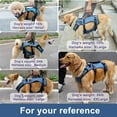 thumbnail image 5 of Coodeo Dog Lift Harness, Support & Recovery Sling, Pet Rehabilitation Lifts Vest Adjustable Breathable Straps for Old, Disabled, Joint Injuries, Arthritis, Paralysis Dogs Walk (Black-2XL), 5 of 6