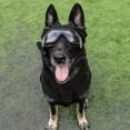 thumbnail image 2 of Dog Glasses Pet Sunglasses Eye, 2 of 3