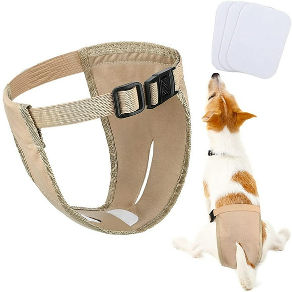 Female Dog Heat Pants