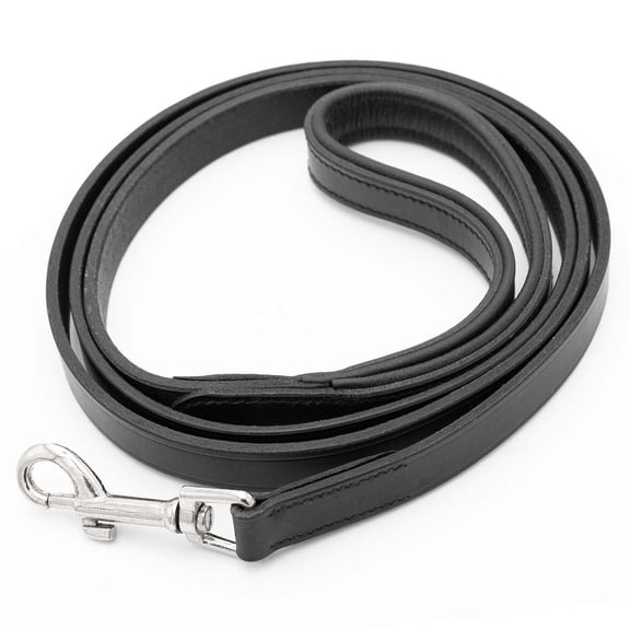 Jeffers Black Padded Leather Dog Leash, 5/8"W x 4'L- Genuine Drum Dyed Cowhide, Secure Grip & Comfortable Handle, Nickel Plated Hardware, Multiple Lengths, Walking & Training Leash for Dogs & Pets