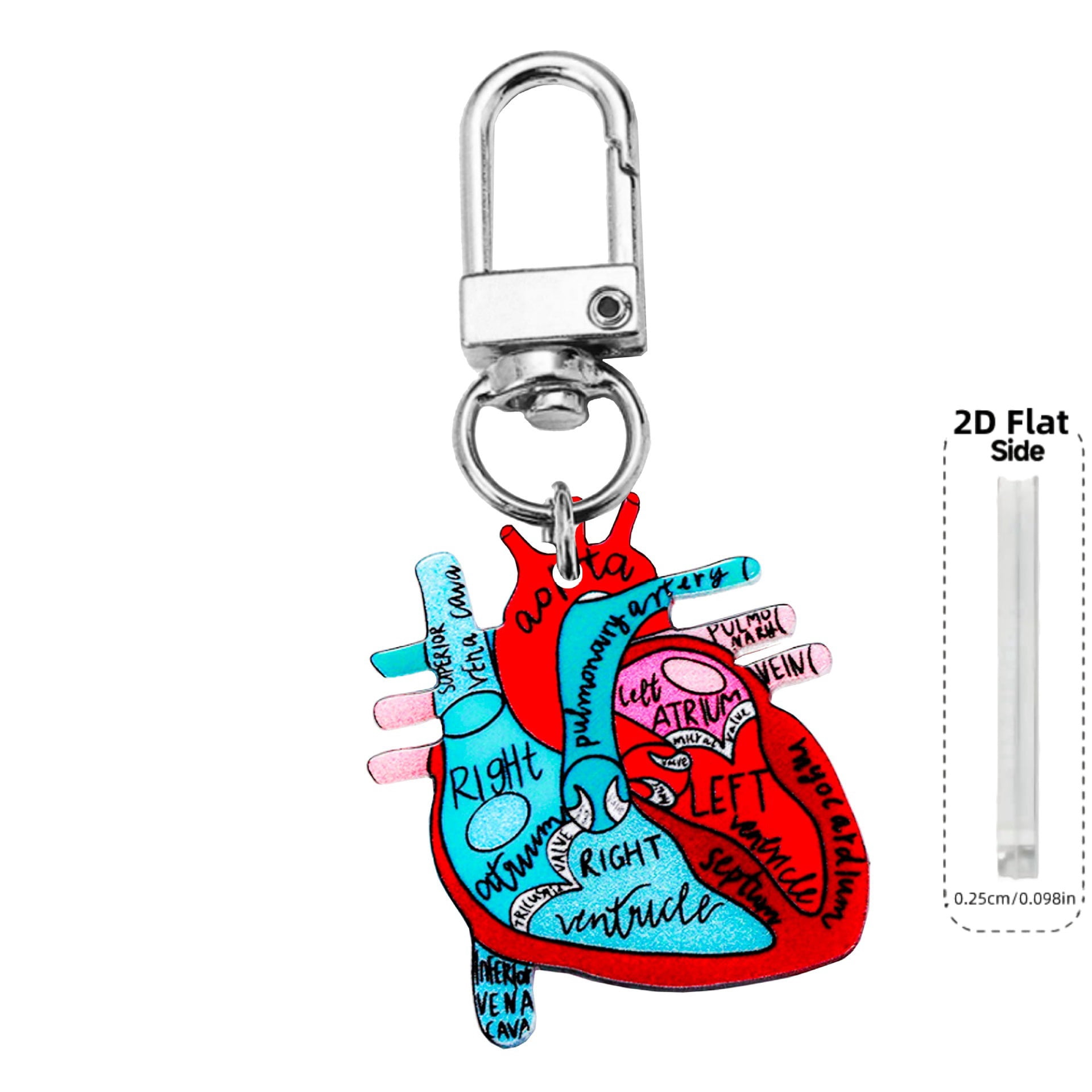 Nurse Theme Letter Anatomical Heart Diagram Keychain Doctors Prefer Key Ring