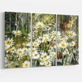 thumbnail image 1 of Designart - Daisies Flowers Under the Window - Floral Art Canvas Print, 1 of 4
