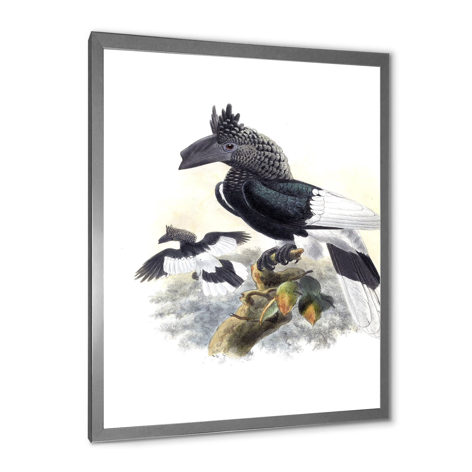 Designart 'Ancient Australian Birds XVI' Traditional Framed Art Print
