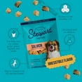 thumbnail image 5 of Stewart Freeze-Dried Salmon Training Treats for Dogs, 2.75 oz Pouch, 5 of 9