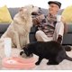 thumbnail image 2 of Pink stainless steel cat food and water bowl set for pets, 2 of 5