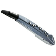 Roland AE-01 Aerophone Mini Digital Saxophone Bundle with Headphones and Austin Bazaar Polishing Cloth