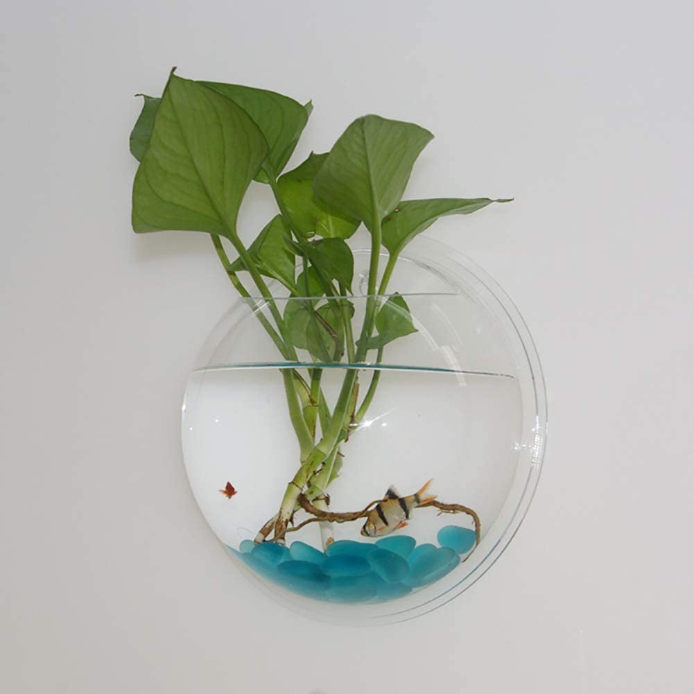 Turn your betta fish's aquarium into a glorious piece of home decor | Fish  plants, Plants, Indoor water garden
