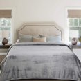 thumbnail image 2 of Fleece Blanket King Size Extra Soft Cozy Microfiber Bed Blankets 90" x 108" Luxury Warm Light Velvet Throw Blanket for Couch Sofa (Gray), 2 of 6