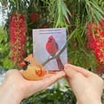 thumbnail image 3 of 1PC Small Carved Wooden Northern Cardinal Figurines, Handmade Cardinal Birds Sculpture Craft Set, Cute Cardinal Statues Home Decor Art Carving Work, 3 of 8