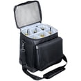thumbnail image 1 of Picnic Time Cellar Insulated Six Bottle Wine Tote, 1 of 15