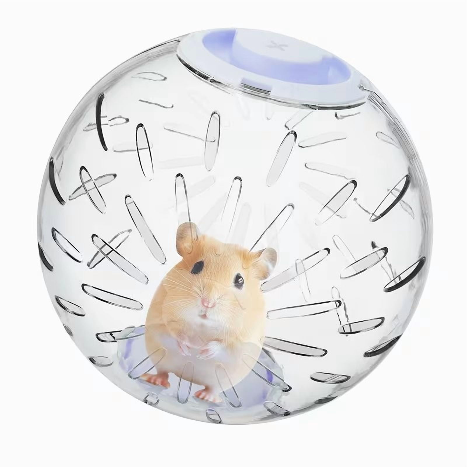 7.9" Hamster Exercise Ball, Clear Plastic Running Toy for Syrian & Dwarf Hamsters, Blue