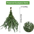 thumbnail image 5 of NOGIS Real Eucalyptus Stems Greenery Decor 16" Dried Willow Eucalyptus Plant Preserved Greenery Stems for Home Vase Filler Wedding Flowers Arrangement Spring Decorations (Green), 5 of 7
