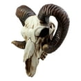 thumbnail image 2 of Ebros Large Bighorn Ram Skull Wall Decor 11.25" Wide Hanging Sculpture Plaque Wild Beast Trophy Figurine, 2 of 4