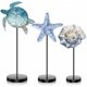thumbnail image 1 of Decoración de madera con forma de concha de estrella de mar con forma de tortuga costera de Maitys, 3 unidades, 1 of 6