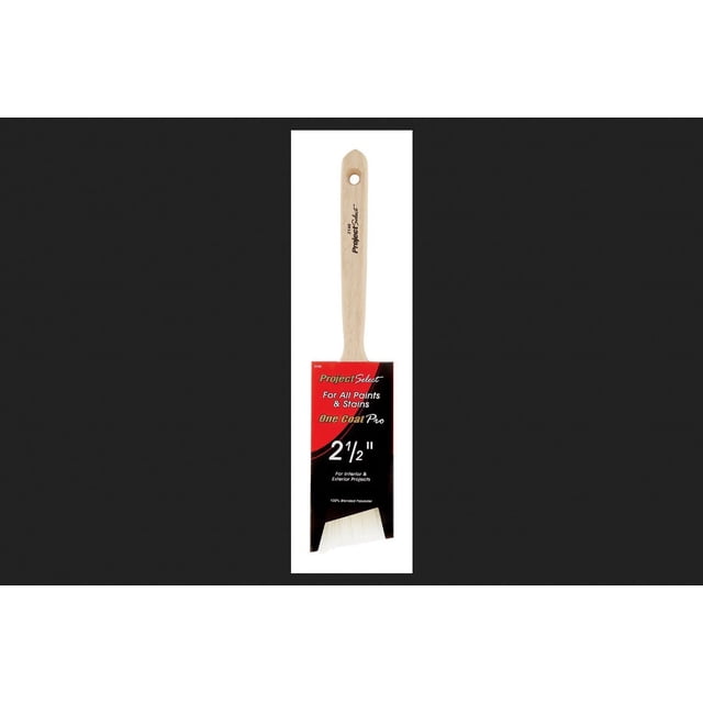 Paint Brush Project Select de acero grueso de 2.5 pulgadas
