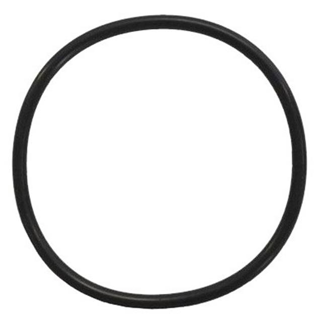 Chlorinator Lid ORing Walmart Canada