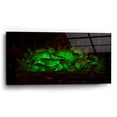thumbnail image 2 of Epic Art 'Emerald Boom' by Petar Belobrajdic Acrylic Glass Wall Art, 24"x12", 2 of 8