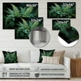 thumbnail image 4 of Designart "Dynamic Ferns Green and Black Contrast III" Floral Metal Wall Art Prints, 4 of 5