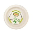 thumbnail image 1 of Verka Green Line 7-inch Disposable Plates, 20 Piece, 1 of 1
