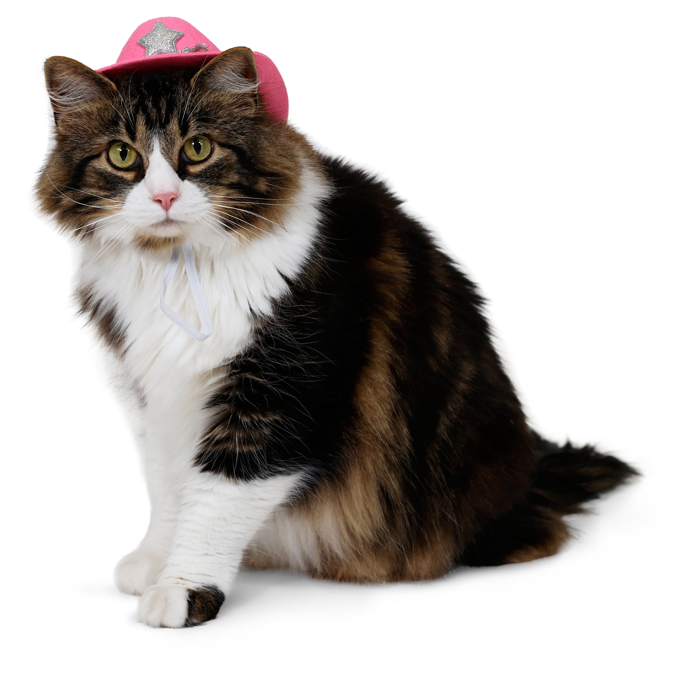Vibrant Life Halloween Cowboy Hat Costume for Dogs & Cats, Pink, Extra Small/Small