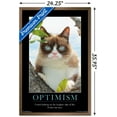 thumbnail image 3 of Grumpy Cat - The Brighter Side Wall Poster, 22.375" x 34", Framed, 3 of 3
