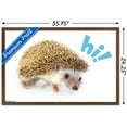 thumbnail image 5 of Cute Hedgehog - Hi! Wall Poster, 22.375" x 34" Framed, 5 of 6