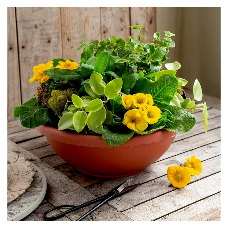 tulsi plant in pot Ceramic Tulsi Plant Pot Peach Color – Elegant Spiritual & Indoor Plant –  Ecofynd main image 1