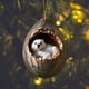 thumbnail image 2 of ¡Ofertas de liquidación de ahorros 2024! Amvlyk: NUEVOS adornos navideños colgantes de acrílico con estampado de animales navideños, regalos para familiares y compañeros, decoración para el árbol de, 2 of 8