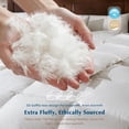 thumbnail image 4 of Dafinner Oversized Queen Size Organic Cotton Heavyweight 750 Fill-Power Goose Feather Down Comforter, Extra Fluffy Warmth, Thick Duvet Insert for Cold Sleepers, (98x98, White), 4 of 9