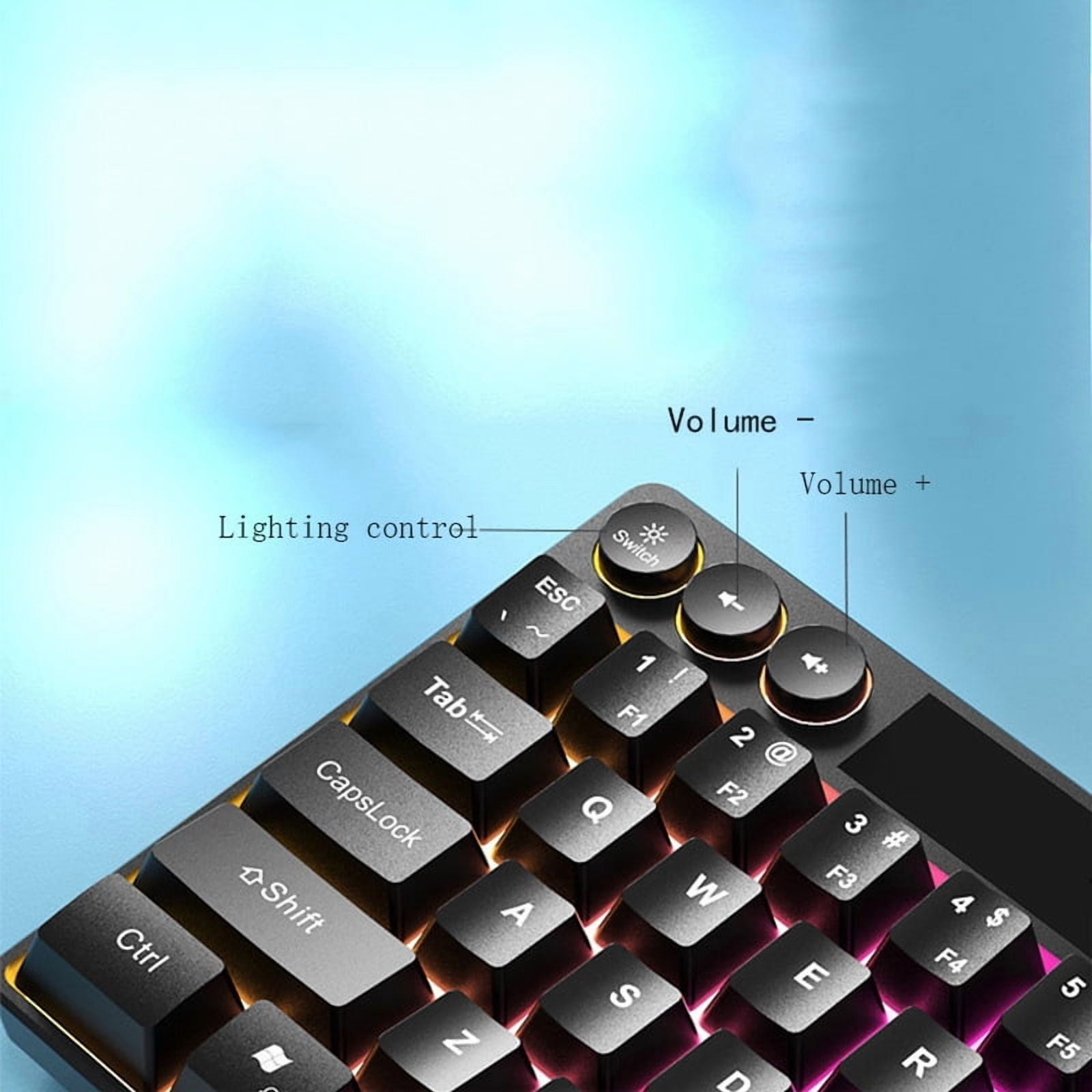 UISHUSO Portable 60% Mechanical Feel Membrane Gaming Keyboard, F3061 LED Backlit Compact 68 Keys Mini Wired Office Keyboard with Blue Switch for Windows Laptop PC Mac - Black/White