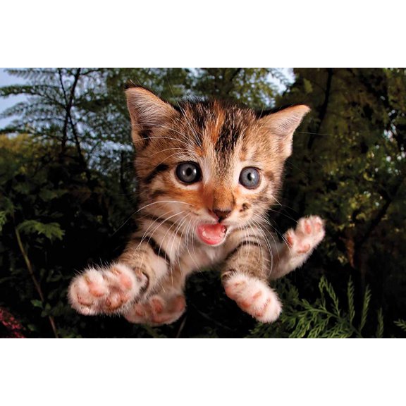 Pounce Fuzzbucket