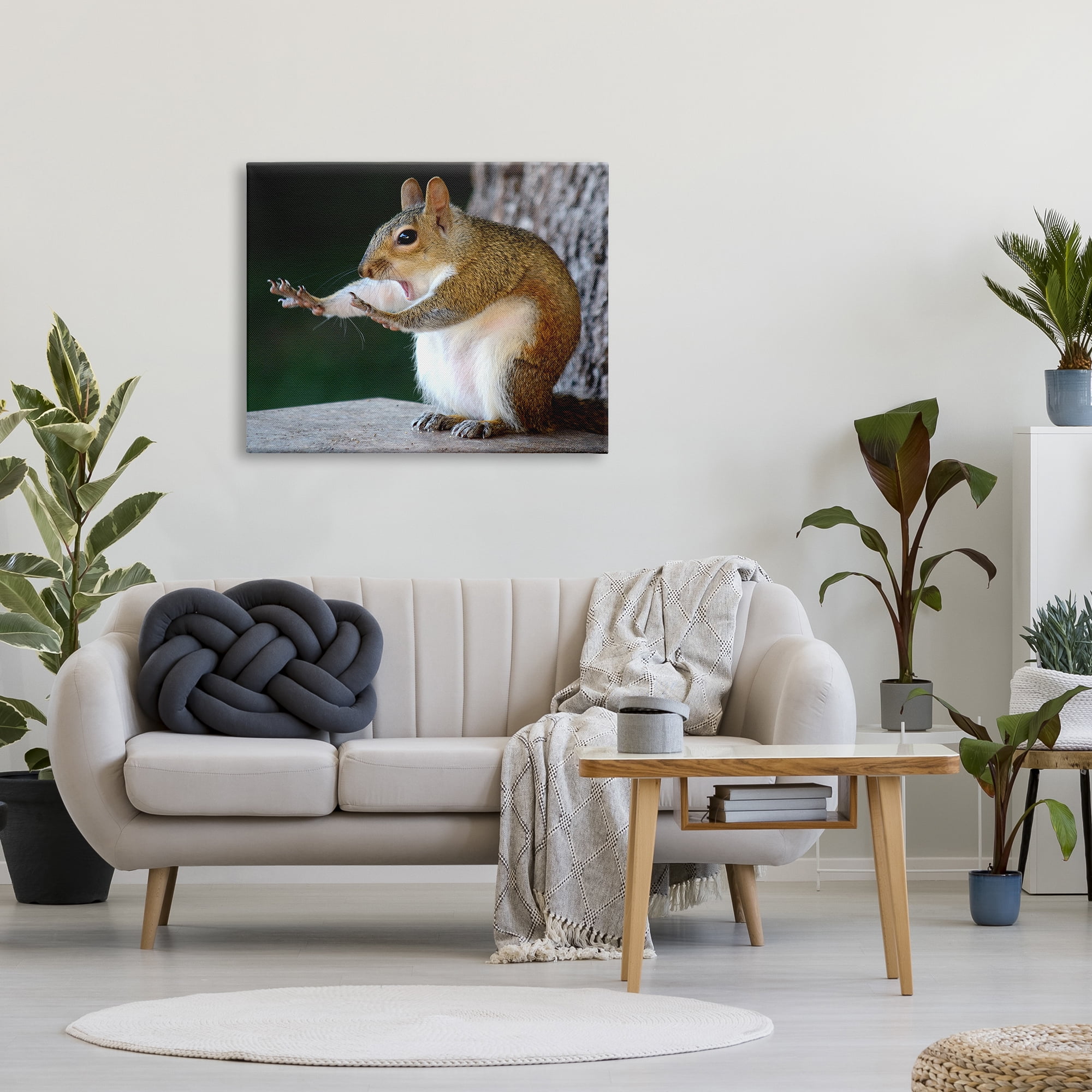 Stupell Industries Funny Shocked Pose Squirrel Animals & Insects Photography Gallery Wrapped Canvas Art Print Wall Art, 40 x 30
