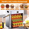 thumbnail image 4 of Deshidratador de alimentos Fendia 12 bandejas de acero inoxidable 1200W 190°F, 4 of 6