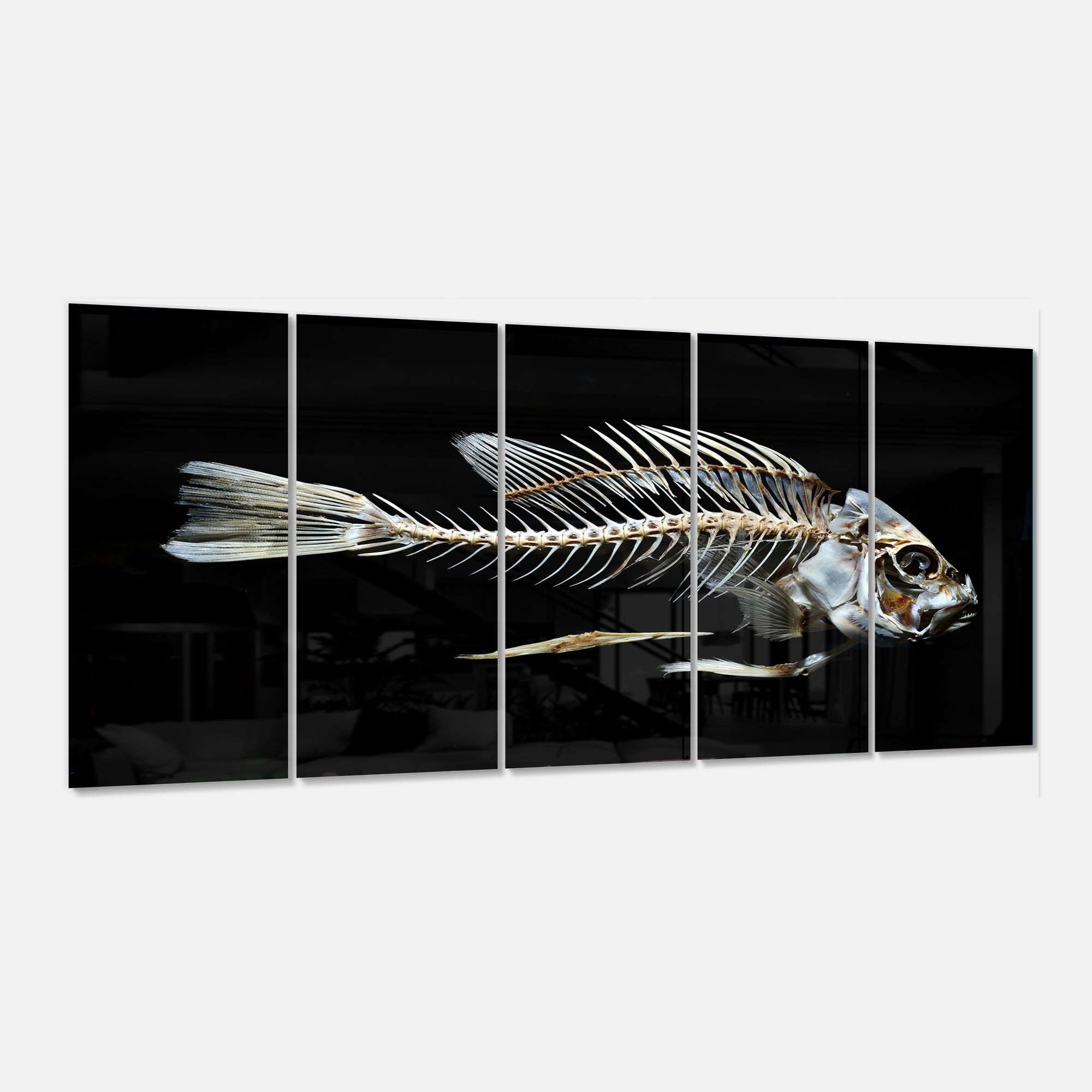 Fish Skeleton Bone on Black 28 in x 60 in Painting Art Prints, by Designart