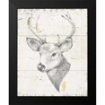 thumbnail image 2 of Brissonnet, Daphne 15x18 Black Modern Framed Museum Art Print Titled - Wild and Beautiful II, 2 of 5
