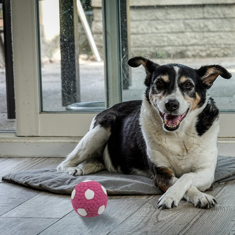 Dog Toy Ball The Pet Outdoor Playset Exercise Toys for Dogs Balls Aggressive Chewers Purple