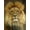 Unframed, variant on Art.com Portrait of a Lion Stretched Canvas Print Wall Art, 12" x 16"