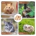 thumbnail image 6 of IBASETOY Hamster House Decor Mini Wooden Slide Toy Interactive Play Small Pet Hut 1Pcs, 6 of 8
